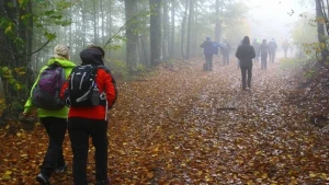Dəhşətli fırtınada 5 turist öldü