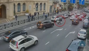 Övladlarını təhlükəyə atan valideynlərin VİDEOSU -&nbsp;NİİM çağırış etdi