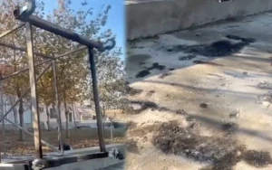 Ofisiantların öldüyü yerdən görüntülər - VİDEO