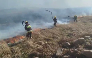 Gədəbəydə dağlıq ərazidə yanğın baş verdi