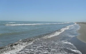 Bakıda ana 3 günlük körpəsini dənizə ataraq öldürdü