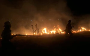 Cəlilabadda yanğın baş verdi - VİDEO