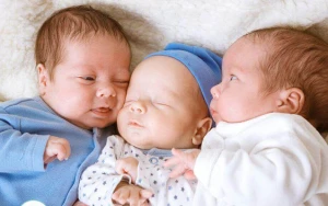 10 ayda 81 üçəm doğulub