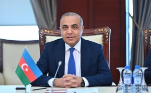 Xəyanət ifşa olunanda -Xarici mərkəzlər, daxili şəbəkələr