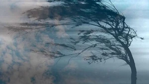 Küləkli hava şəraiti ilə bağlı sarı XƏBƏRDARLIQ