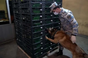 148 kiloqramdan artıq narkotik vasitə aşkarlandı - Astara gömrüyündə əməliyyat