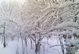 Ordubadda qar örtüyünün hündürlüyü 35 sm-ə çatdı