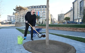 Parkdakı ilk palıdı Prezident əkdi - FOTOLAR