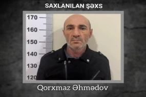 Narkotik və odlu silah satan şəxs həbs olundu