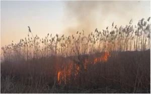 Cəbrayıl və Füzulidəki yanğınlar söndürüldü - VİDEO