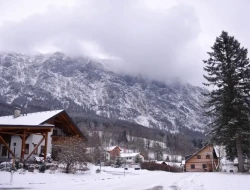 Təbiət hadisəsi can aldı - 8 nəfər öldü&nbsp;