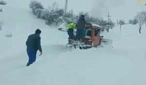 Güclü qar cənubda fəsadlar törətdi:&nbsp;“Azərişıq” fasiləsiz işləyir - VİDEO