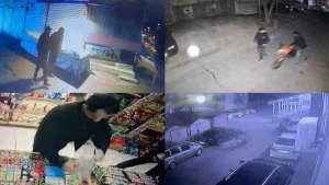 Nizami rayonunda 7 oğru saxlanıldı - VİDEO