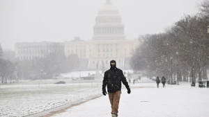 Vaşinqtonda fövqəladə vəziyyət - \"Məcbur qalmadıqca çölə çıxmayın\"