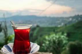 Hansı çay daha sağlamdır? - Soyuq, yoxsa isti?