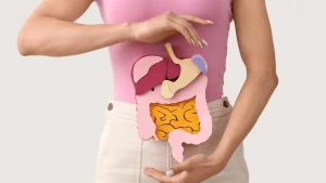 Həzm sistemini normallaşdırmaq üçün nə yemək lazımdır?