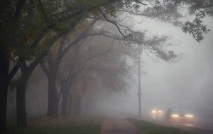 Bu ərazilərdə duman var - FAKTİKİ HAVA