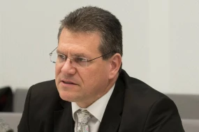 Şefçoviç Epşteynlə hər hansı əlaqəsini təkzib etdi