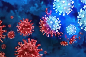 Yeni \"meymun çiçəyi\" növü yayılır - 9 nəfər yoluxdu