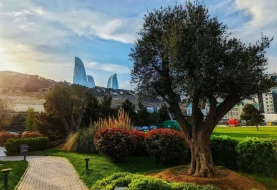 Bazar günü hava necə olacaq?