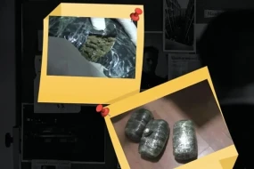 Masallıda 9 kiloqram narkotik vasitə aşkarlandı