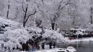 Nyu-Yorkda 18 nəfər soyuqdan donaraq öldü