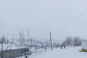 Güclü qar bu rayonlarda ciddi fəsadlar törətdi - FOTO