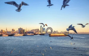 Həftənin ilk gününün havası AÇIQLANDI