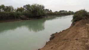 Şəkidə epilepsiya xəstəsi kanala düşdü