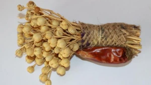 Nazirlikdən üzərlikdən istifadə edənlərə XƏBƏRDARLIQ