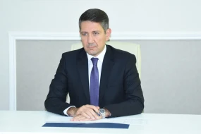 Anar Kərimova daha bir vəzifə verildi