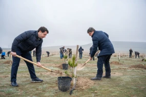 Xocalı soyqırımı qurbanlarının xatirəsinə həsr olunmuş ağacəkmə aksiyası keçirilib&nbsp;