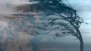 Güclü külək bu rayonlarda fəsadlar törətdi - FOTO