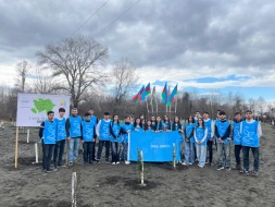 IDEA Zaqatalada kütləvi ağacəkmə aksiyası təşkil etdi - FOTOLAR