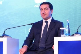 \"Beynəlxalq təşkilatların problemlərimizi həll etməsini gözləmirik\"