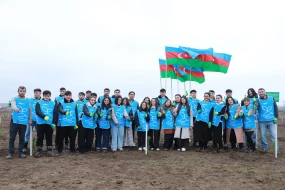 IDEA Şəki və Qəbələdə kütləvi ağacəkmə aksiyası təşkil etdi - FOTOLAR