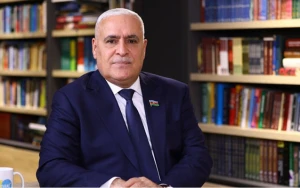 \"Yeni əməkhaqqı modeli dünya təcrübəsində müsbət nəticələrə  yol açır\"