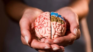 Beyin sağlamlığı üçün bunları yeyin