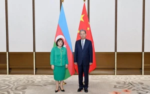 Sahibə Qafarova ilə görüşdə Azərbaycana təşəkkür etdi - FOTOLAR