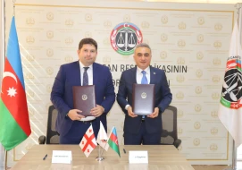 Gürcüstan VK sədri Azərbaycana gəldi - FOTOLAR