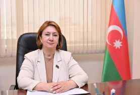 Təhsildə Mədəniyyət Konsepsiyası - Nədən başlamalı?