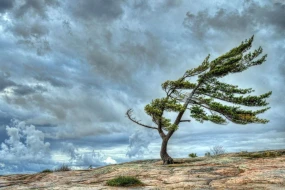 Bakıda və bölgələrdə bu tarixlərdə külək güclənəcək - XƏBƏRDARLIQ