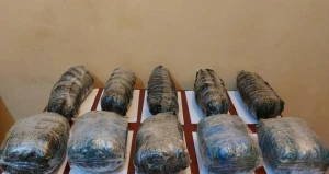 Cəlilabadda 17 kq narkotik aşkarlandı - FOTO/VİDEO