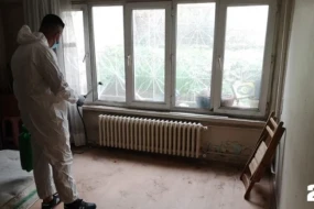 Həddindən artıq təmizkarlıq psixoloji problem sayılır?