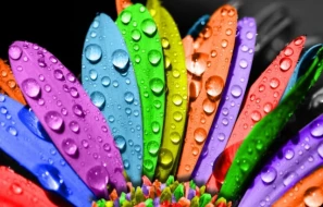 Özgüvəni aşağı olanlar bu rəngləri seçirmiş