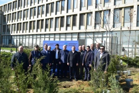 Yasamalda ağacəkmə aksiyası keçirildi - FOTOLAR