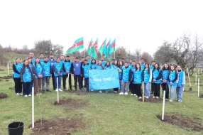 IDEA Gədəbəydə kütləvi ağacəkmə aksiyası təşkil etdi - FOTOLAR