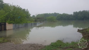 Kürdə vəziyyət nəzarət altındadır - RƏSMİ