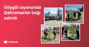 Göygöldə “Qəhrəmanlar bağı” aksiyası həyata keçirilib