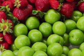 Çiyələk və alça bu il baha ola bilər - SƏBƏB -&nbsp;VİDEO